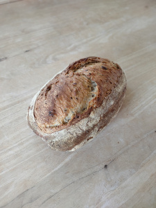 Graines 1kg boulé